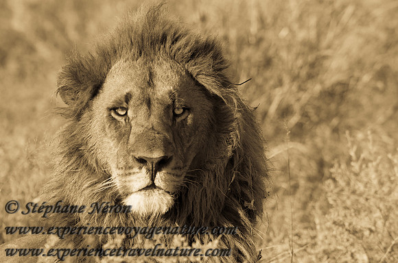 Africa2011-122
