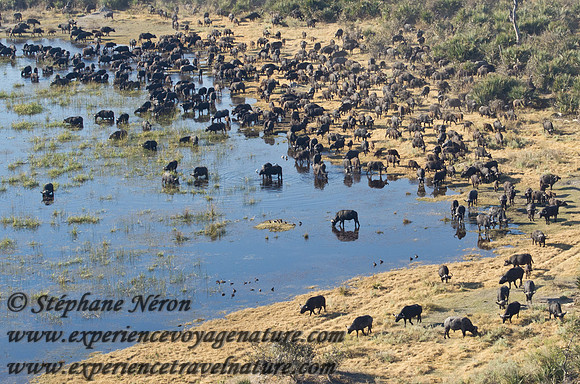 Africa2011-2