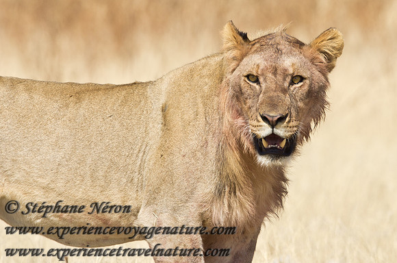Africa2011-53