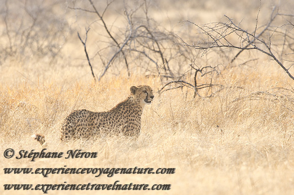 Africa2011-65