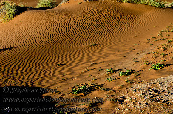 Africa2011-248