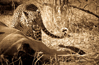 Botswana