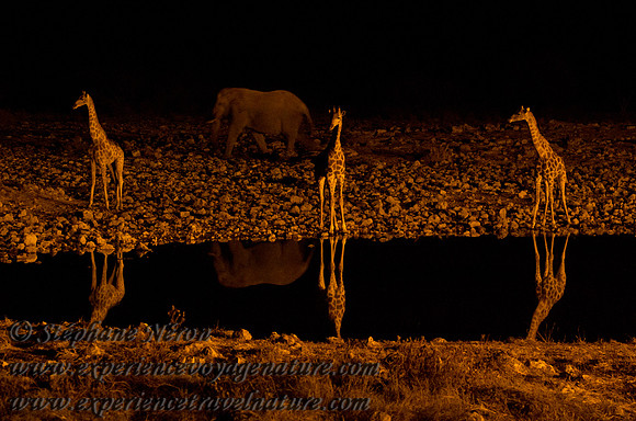 Africa2011-43