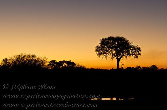 Africa2011-118