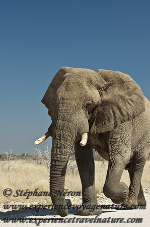 Africa2011-69