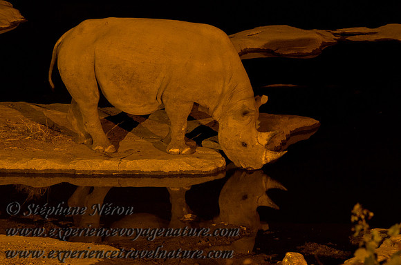 Africa2011-46