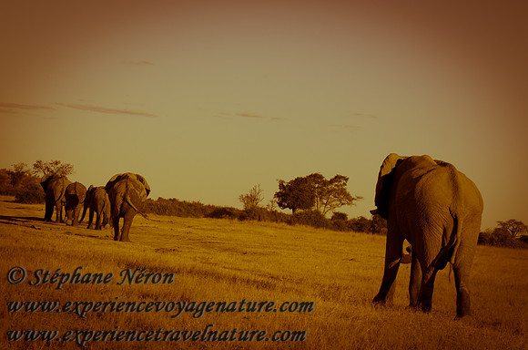 Africa2011-117