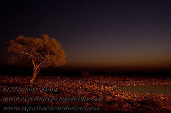 Africa2011-42