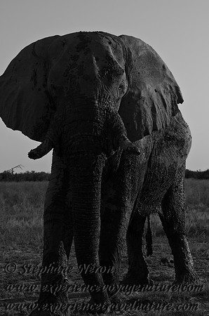 Africa2011-116