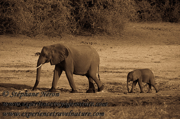 Africa2011-25