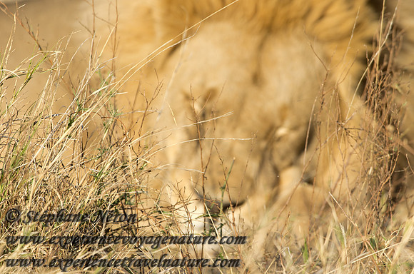 Africa2011-120