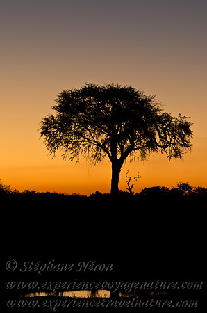 Africa2011-119